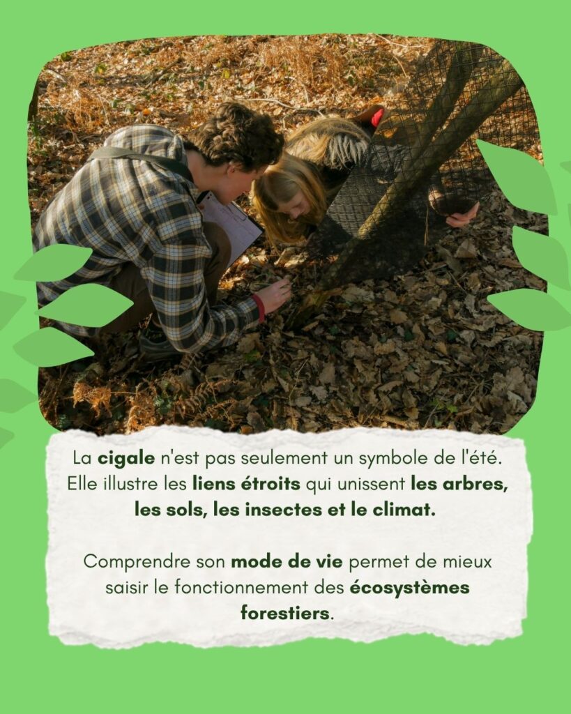Nos actions