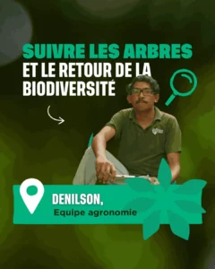 Le suivi reforestation en Indonésie par Coeur de Forêt