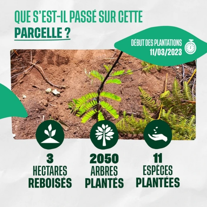 Que s'est-il passé sur cette parcelle ?