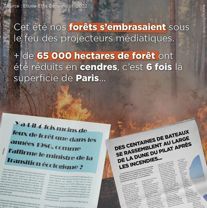 Feux 1