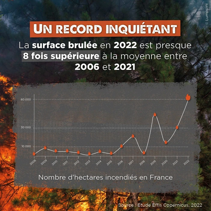 un record inquiétant des feux