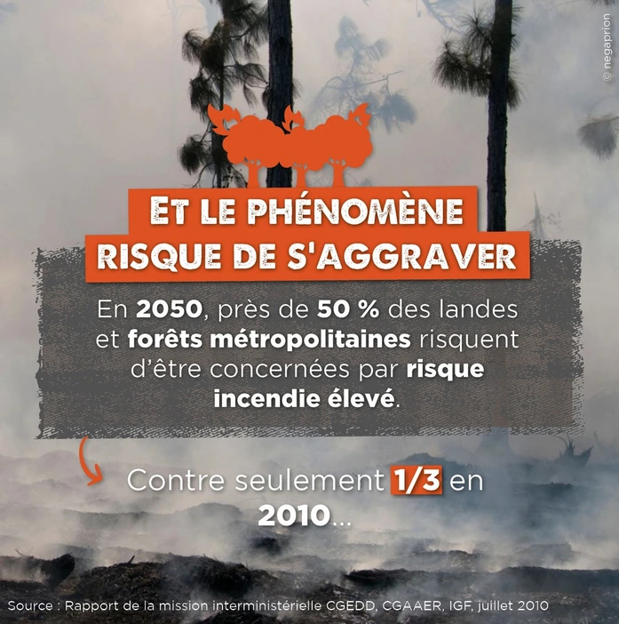 le phénomène s'aggrave des feux