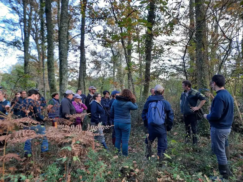 balade en forêt