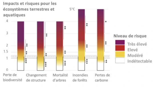 graphique