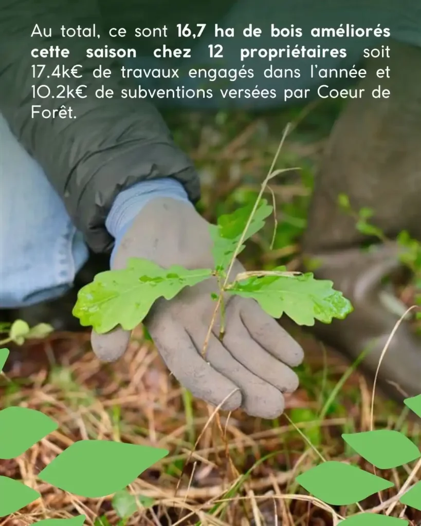 Des travaux adaptés aux besoins de chaque forêt