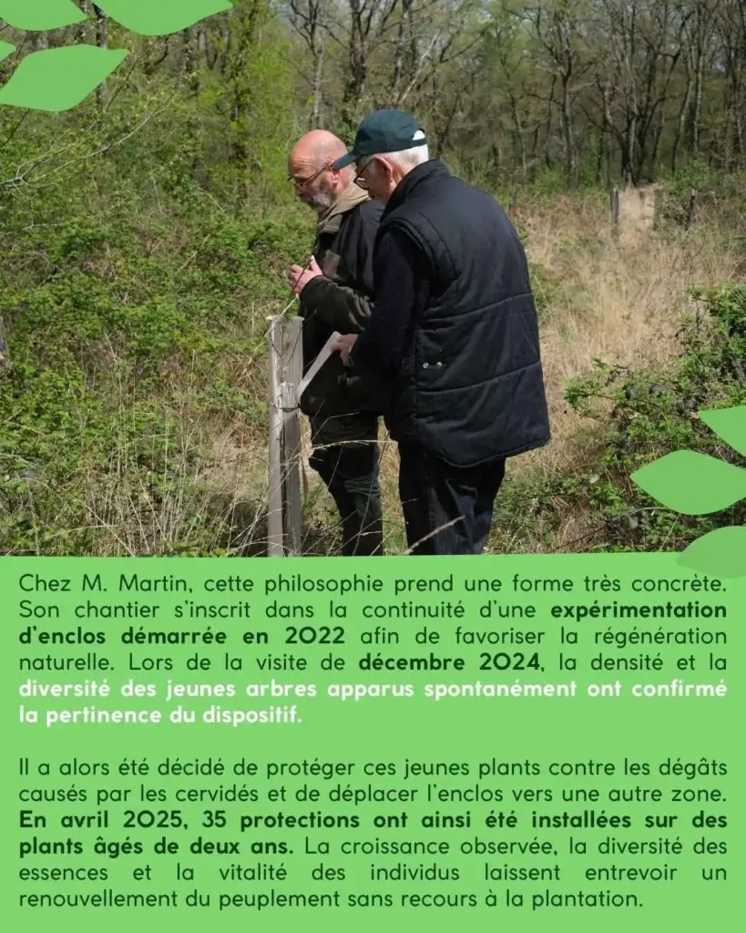 Quand la forêt fait le travail elle-même