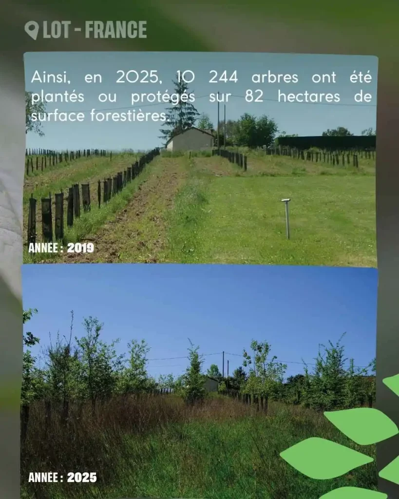 les chiffres clés