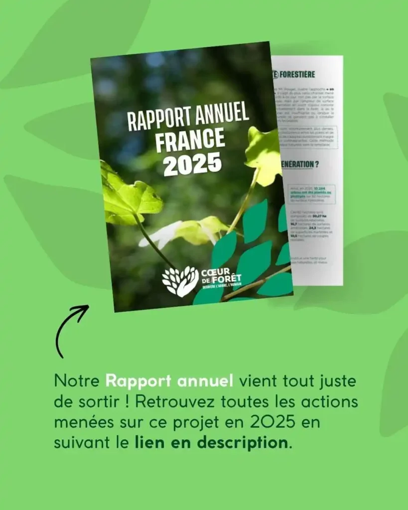 rapport annuel France 2025