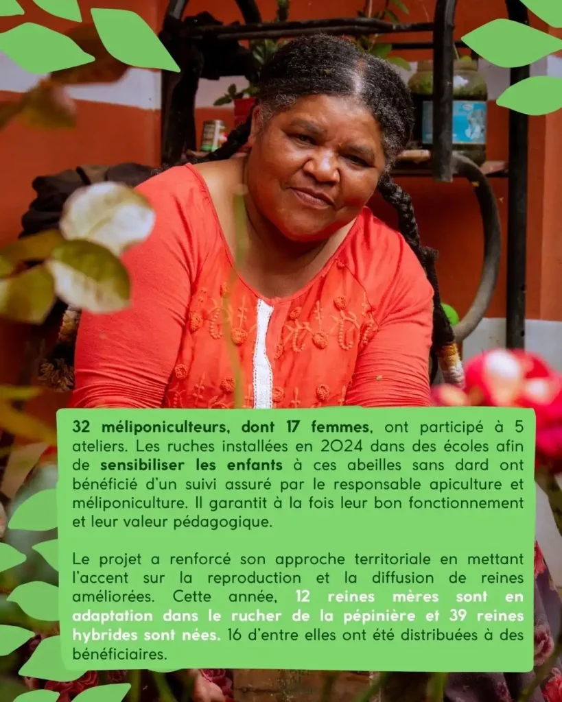Développer la méliponiculture et préserver les pollinisateurs locaux