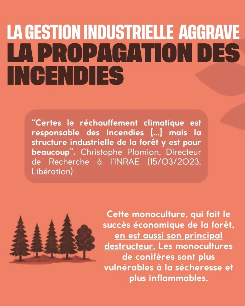 la propagation des incendies