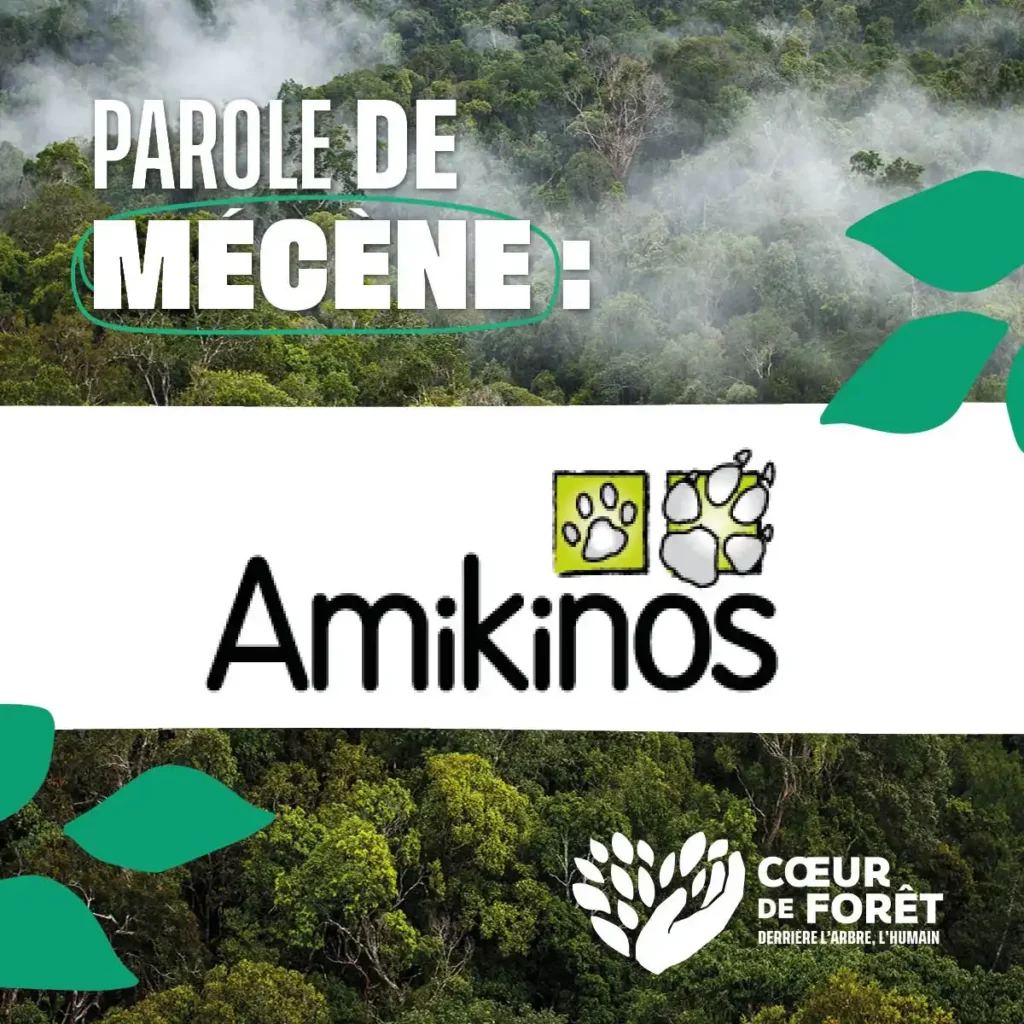 parole de mécène : amikinos