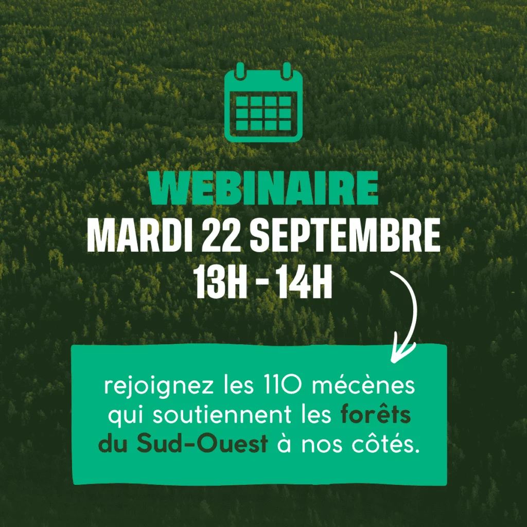 Webinaire - Mardi 22 septembre