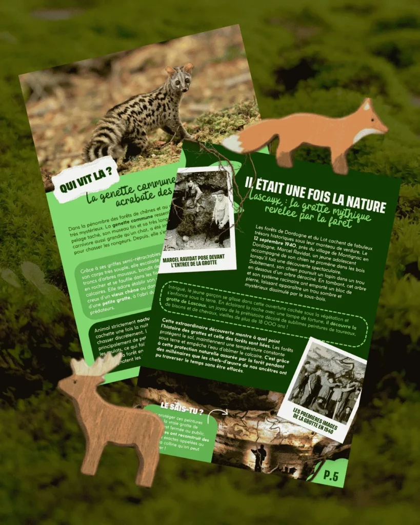 Des articles sur les forêts dans un magazine pour enfant