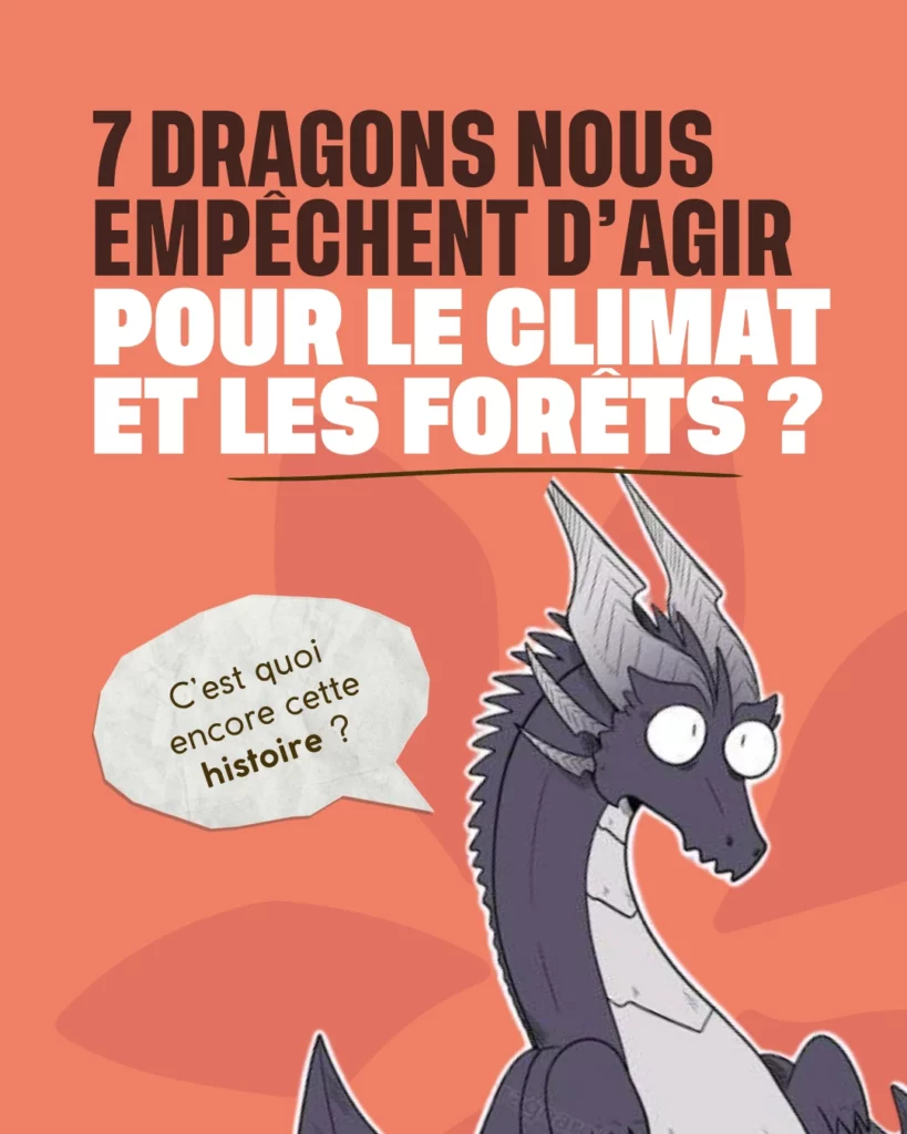 Dragon 1