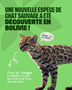 nouvelle espèce