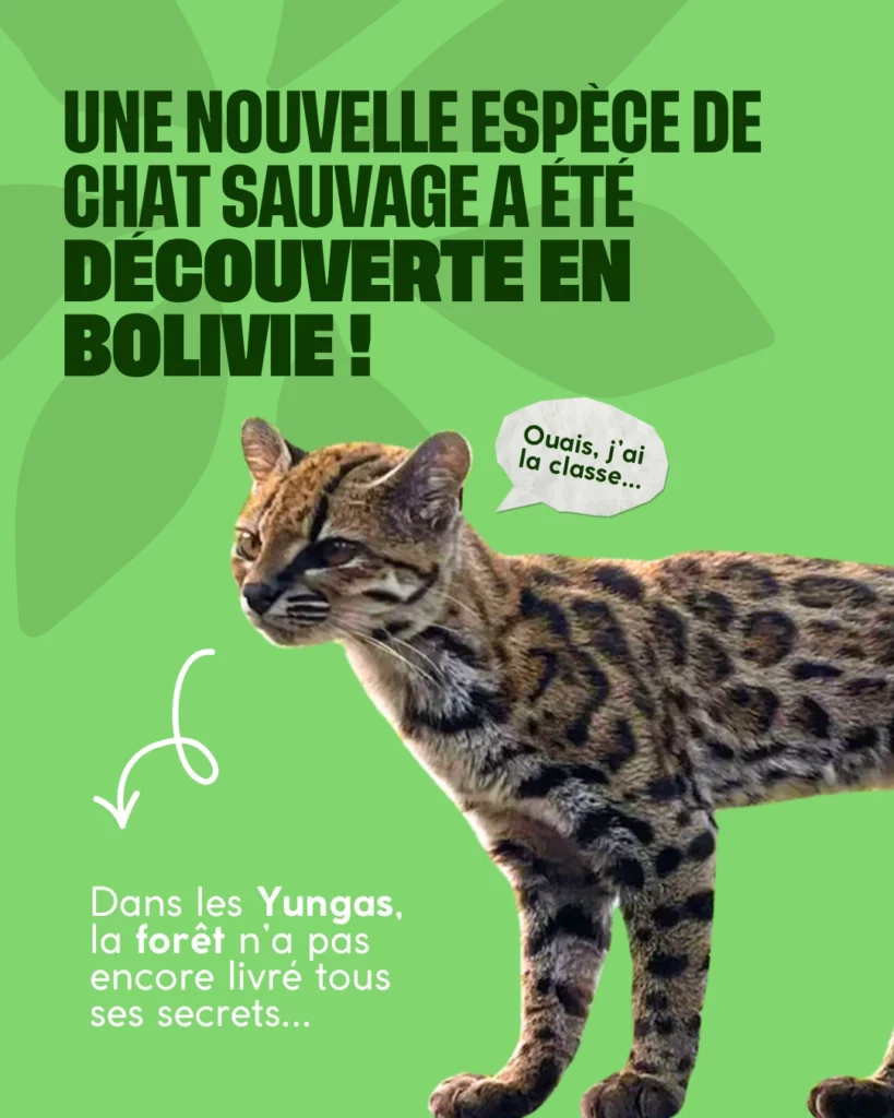 nouvelle espèce