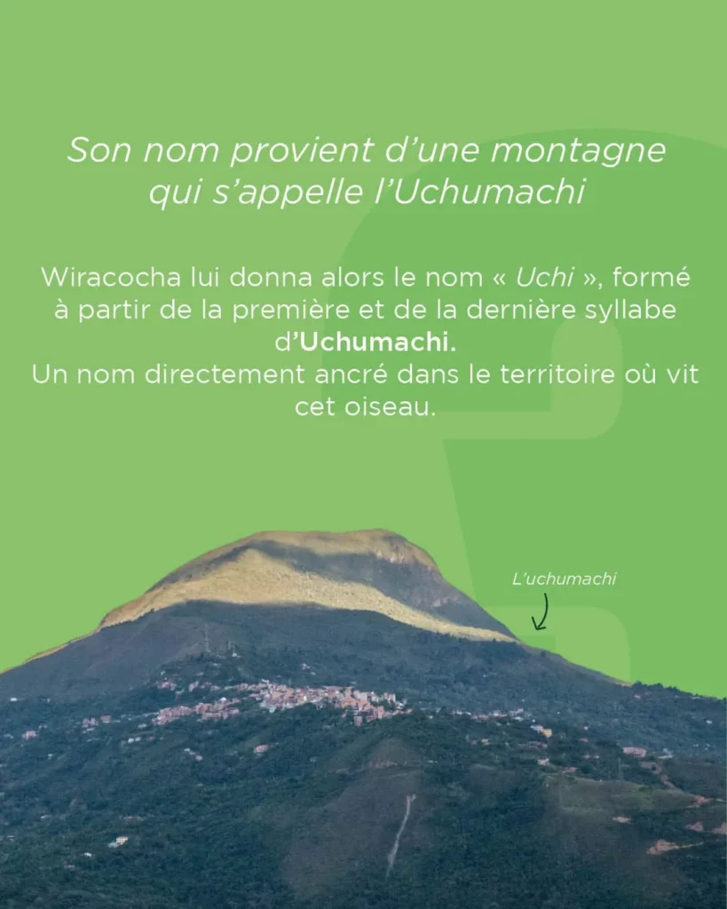 L'Uchi et la Bolivie