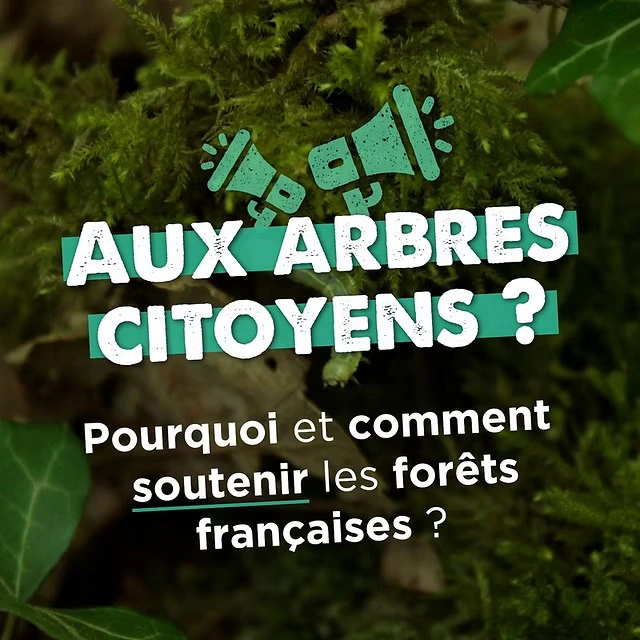 Aux arbres citoyens : pourquoi et comment soutenir les forêts françaises