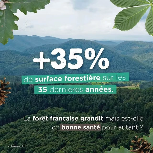 +35%
