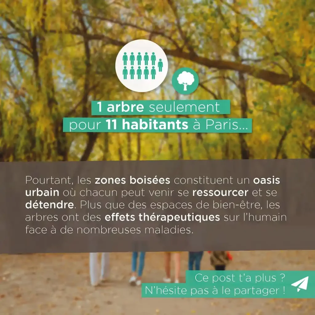 1 arbre seulement pour 11 habitants à Paris
