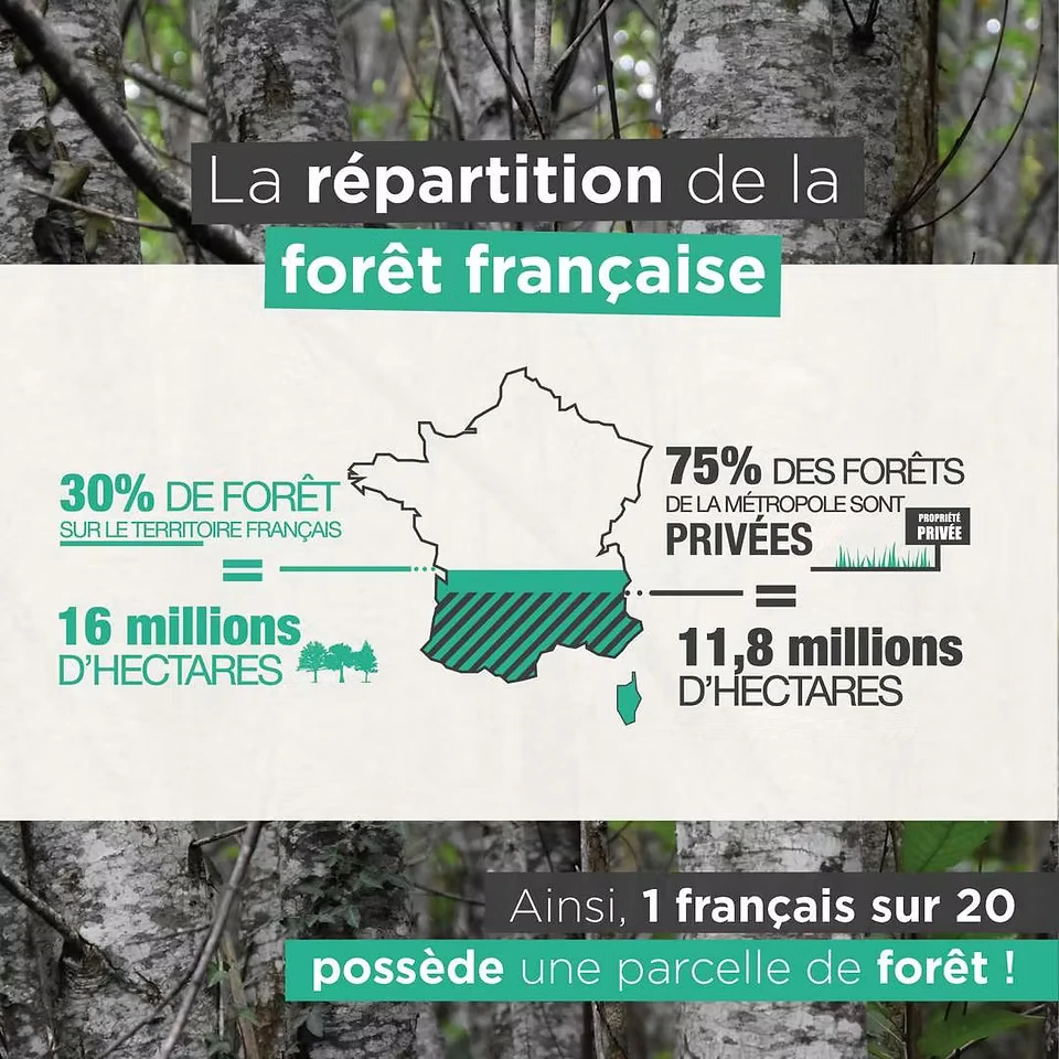 La répartition de la forêt française