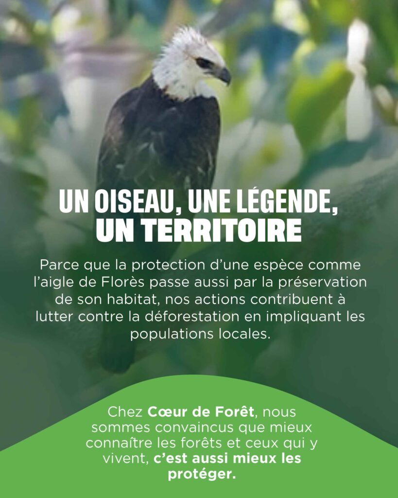 Protéger les oiseaux de l'île de Florès