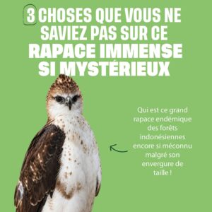 3 choses que vous ne saviez pas sur l