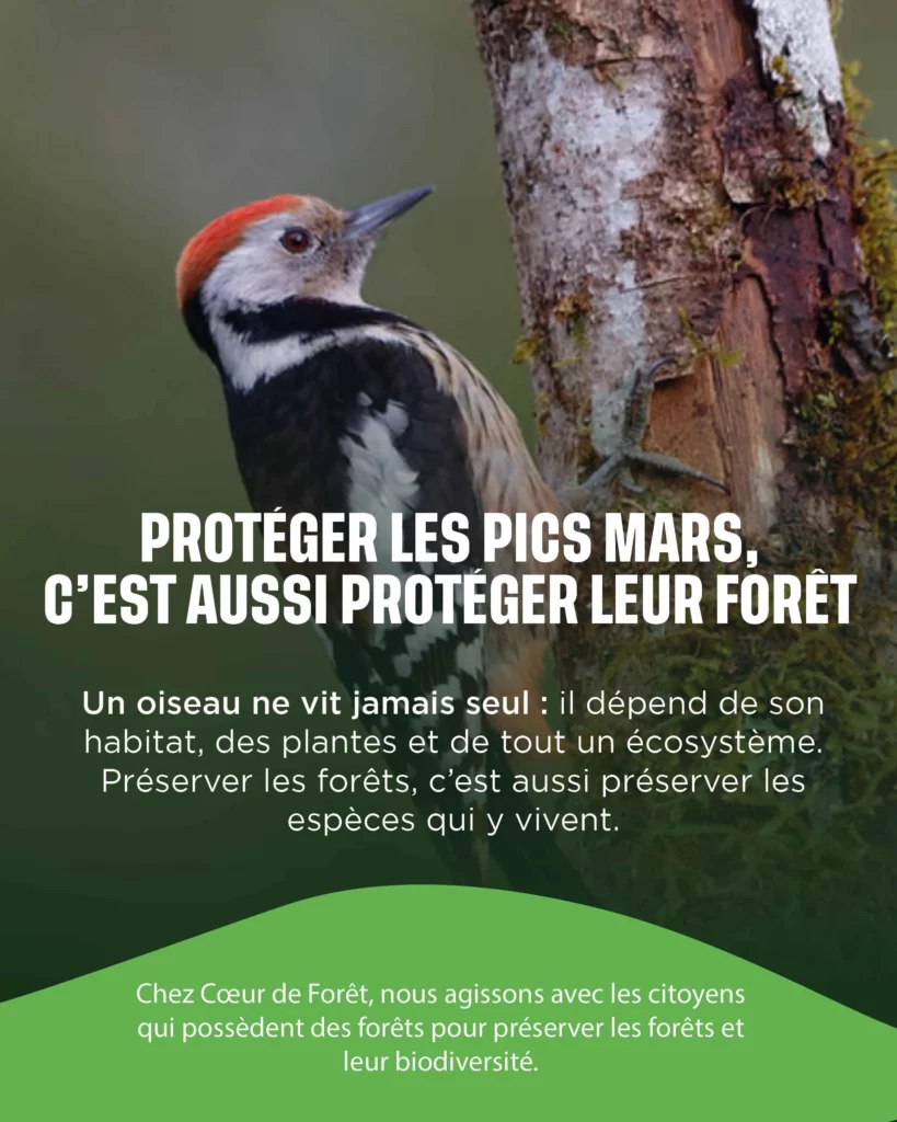 Comment protéger le Pic Mar ?