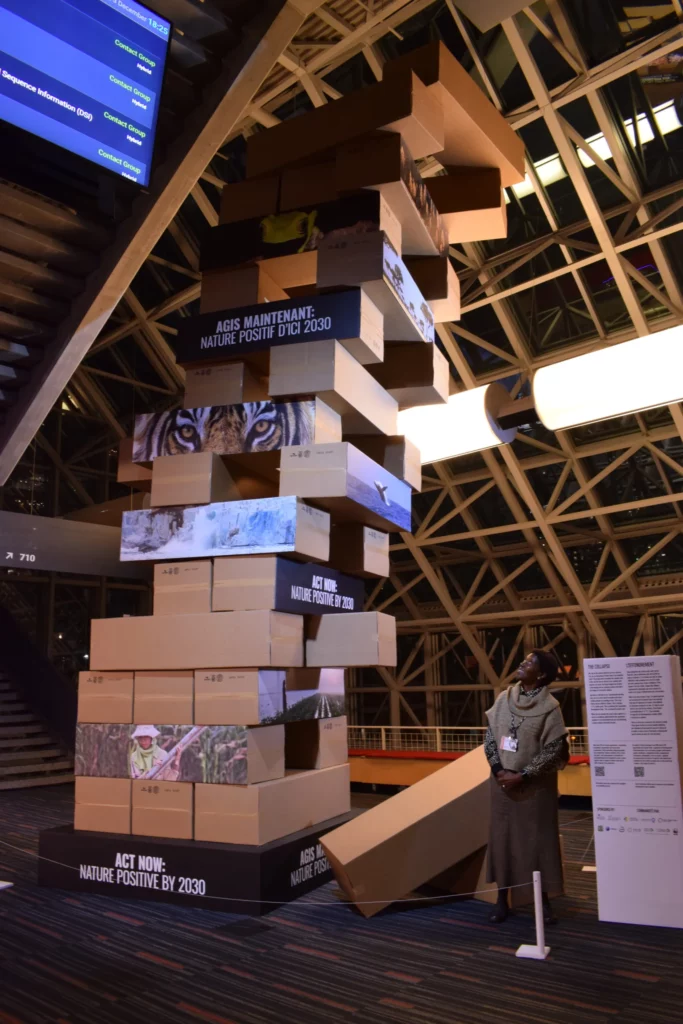 Jeu de Jenga géant