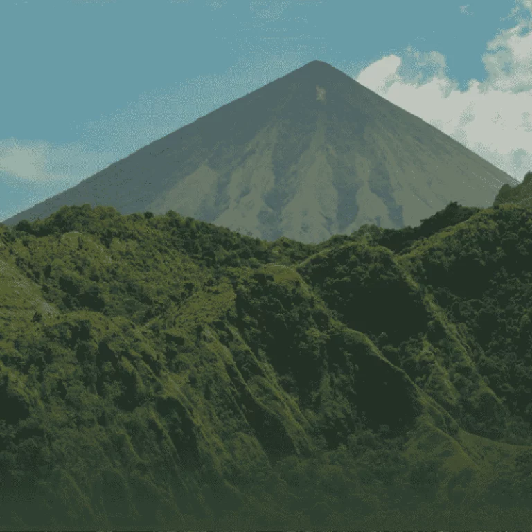 bannière montagne et forêts