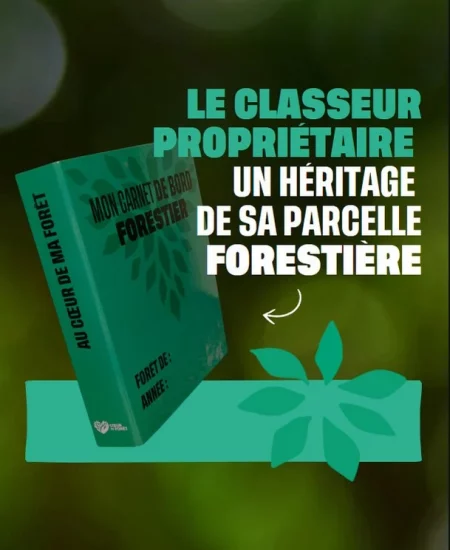 Le classeur propriétaire un héritage de sa parcelle forestière